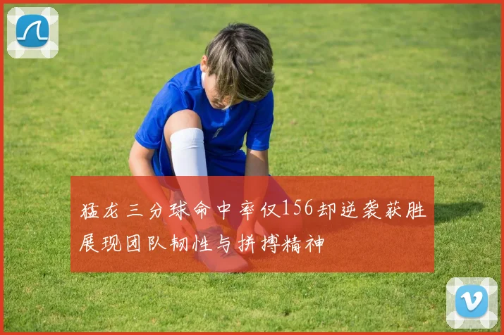 猛龙三分球命中率仅156却逆袭获胜展现团队韧性与拼搏精神